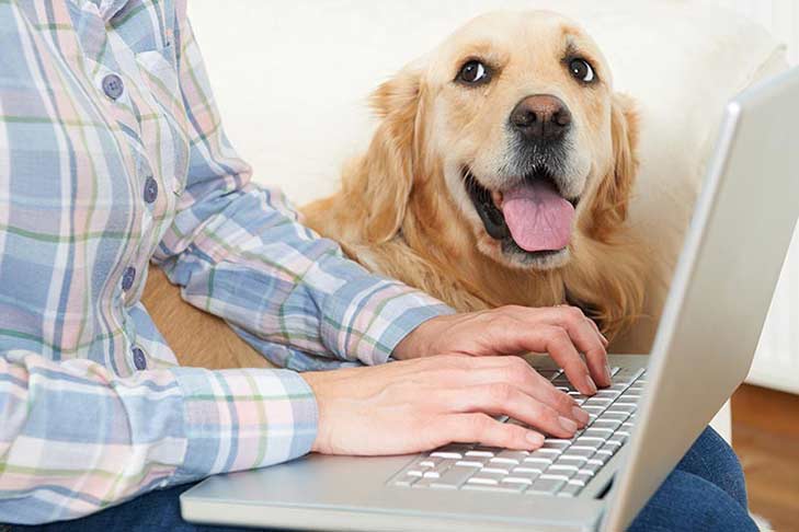 golden-retriever-with-owner-laptop-header
