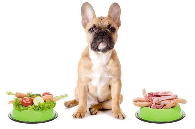 dog with 2 bowls
